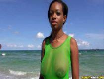 met zoo sek Asya resmi